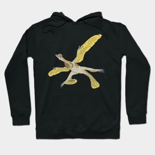 Microraptor - Dinosaur Species - Prehistoric Reptile Hoodie